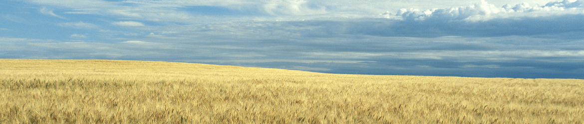 Dakota B Apartments Apartments in Stanley, ND